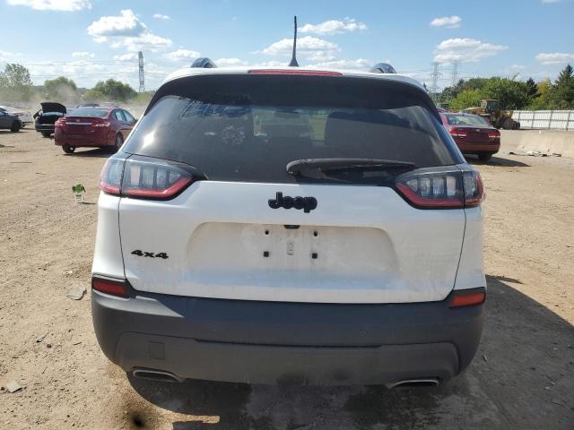 2019 JEEP CHEROKEE L 1C4PJMLX3KD431827