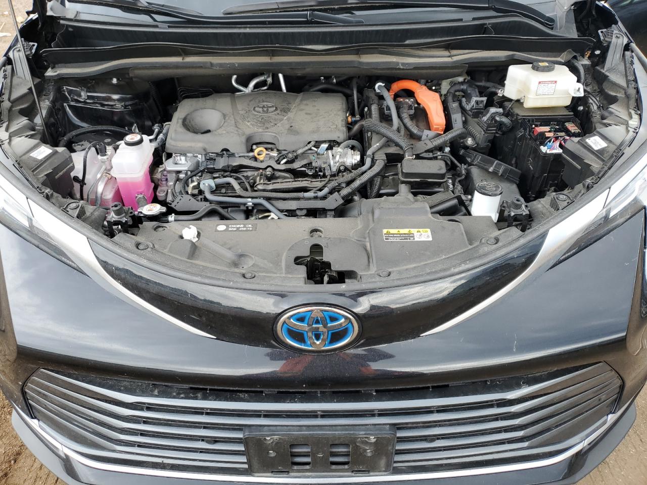 TOYOTA SIENNA LIMITED