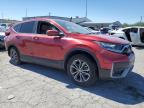 Lot #3305486072 2020 HONDA CR-V EX