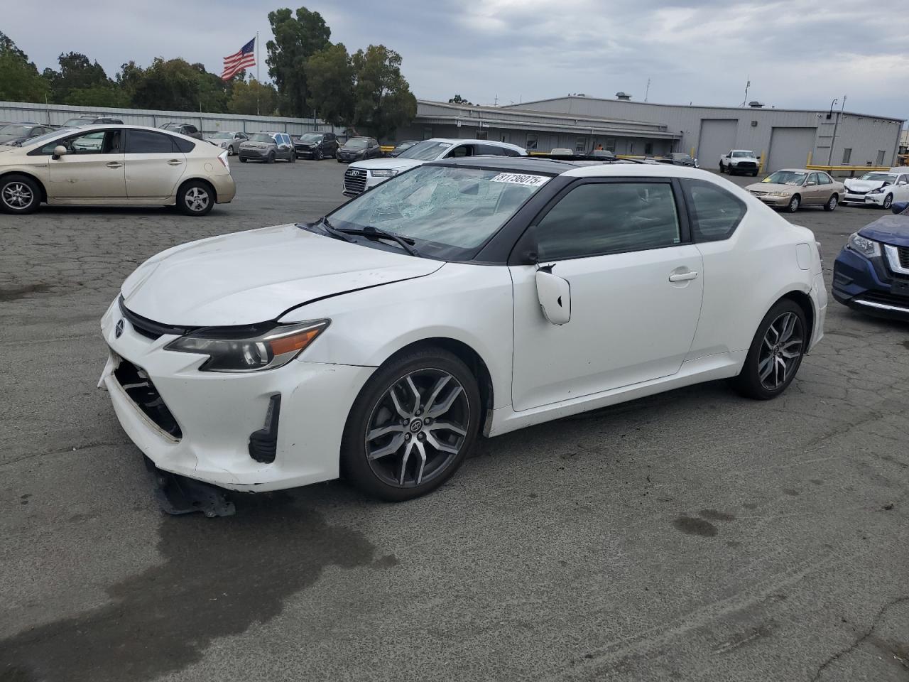 TOYOTA SCION TC