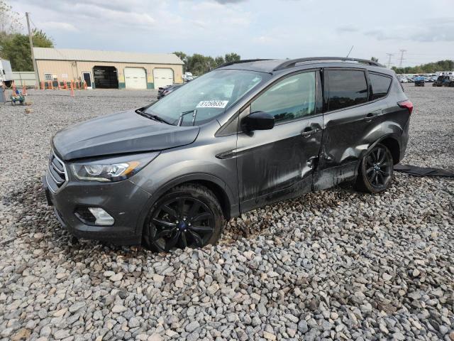 Global Auto Auctions: 2019 FORD ESCAPE SE