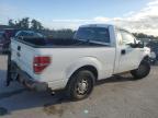 Lot #3301623651 2013 FORD F150