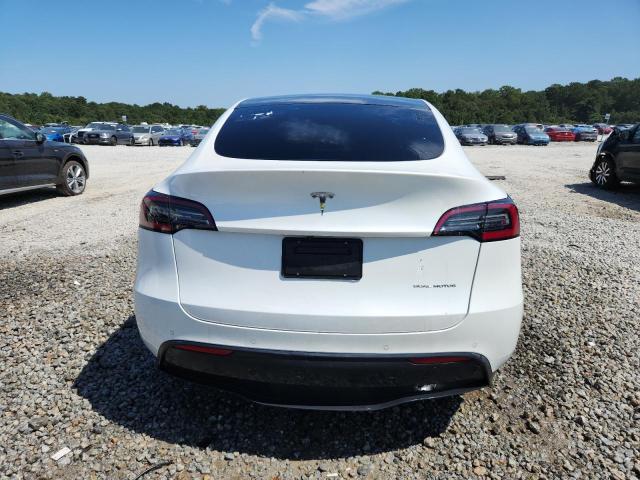 2020 TESLA MODEL Y 5YJYGDEE1LF034996