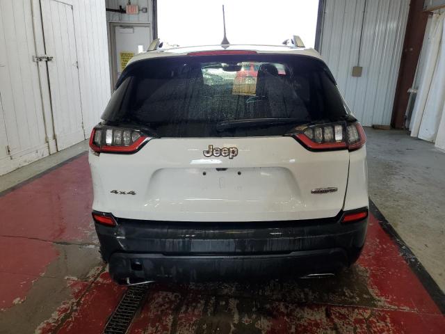 2019 JEEP CHEROKEE L 1C4PJMLBXKD139869