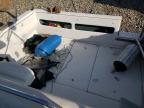 Lot #3297956785 1989 SEA RAY 250 SUNDANCE