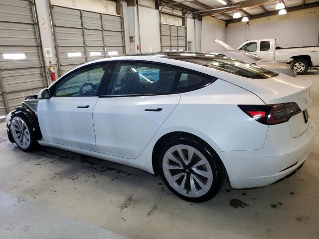 2023 TESLA MODEL 3 5YJ3E1EA1PF448801