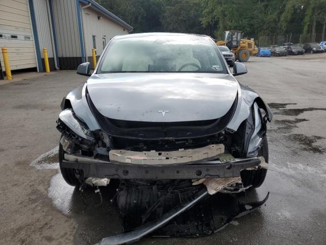 2025 TESLA MODEL Y 7SAYGDEF5SF304631