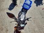 Lot #3306473201 2024 HONDA GROM 125