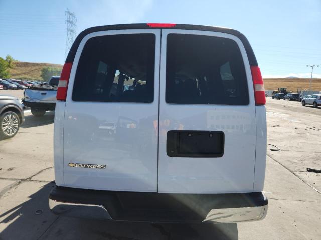 2013 CHEVROLET EXPRESS G1 - 1GNSGCF47D1113628