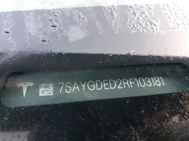 2024 TESLA MODEL Y 7SAYGDED2RF103181