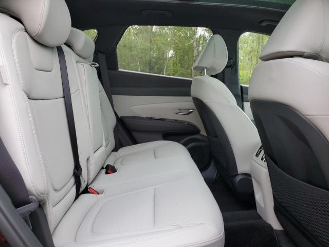 2025 HYUNDAI TUCSON SEL CONVENIENCE KM8JCDD18SU368259