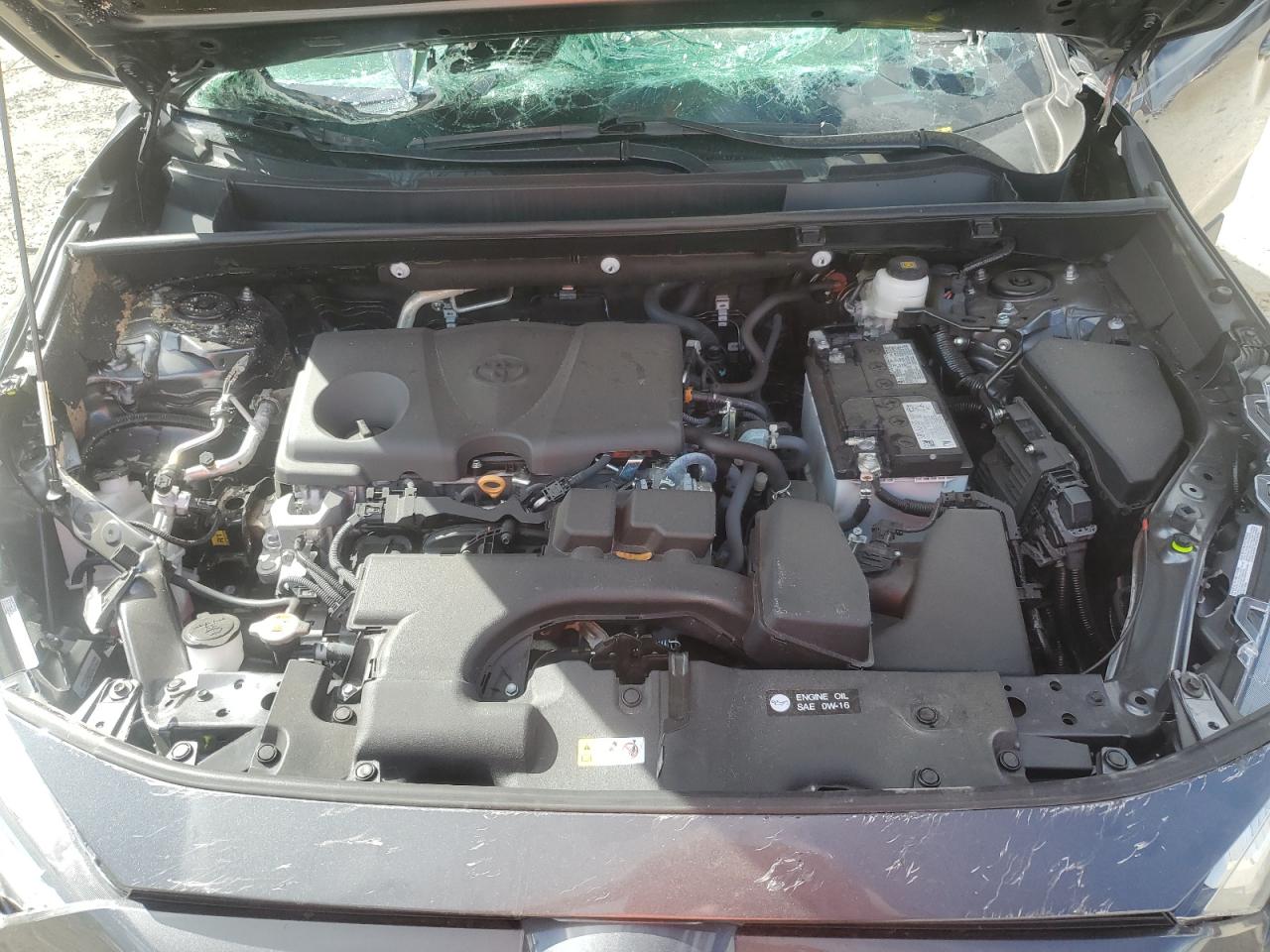 TOYOTA RAV4 XLE PREMIUM