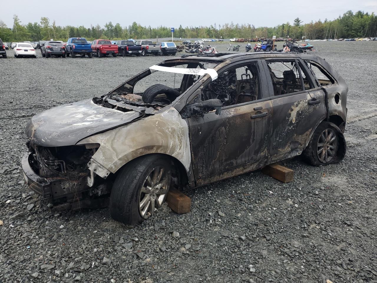 FORD EDGE SEL