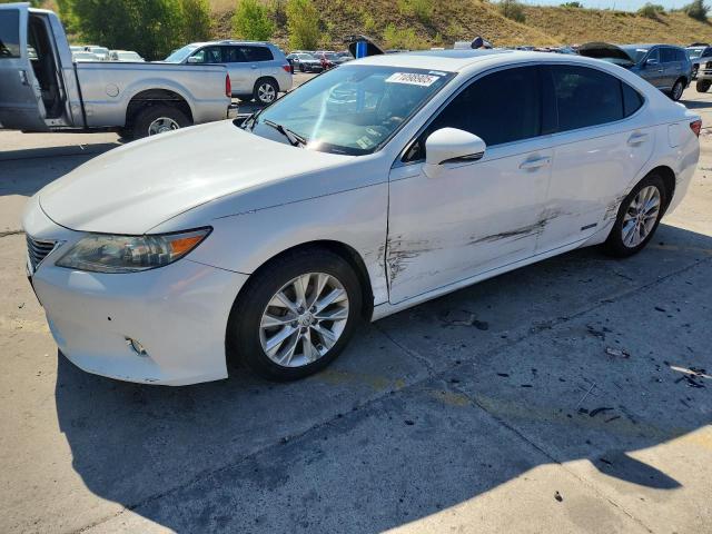 LEXUS ES 300H