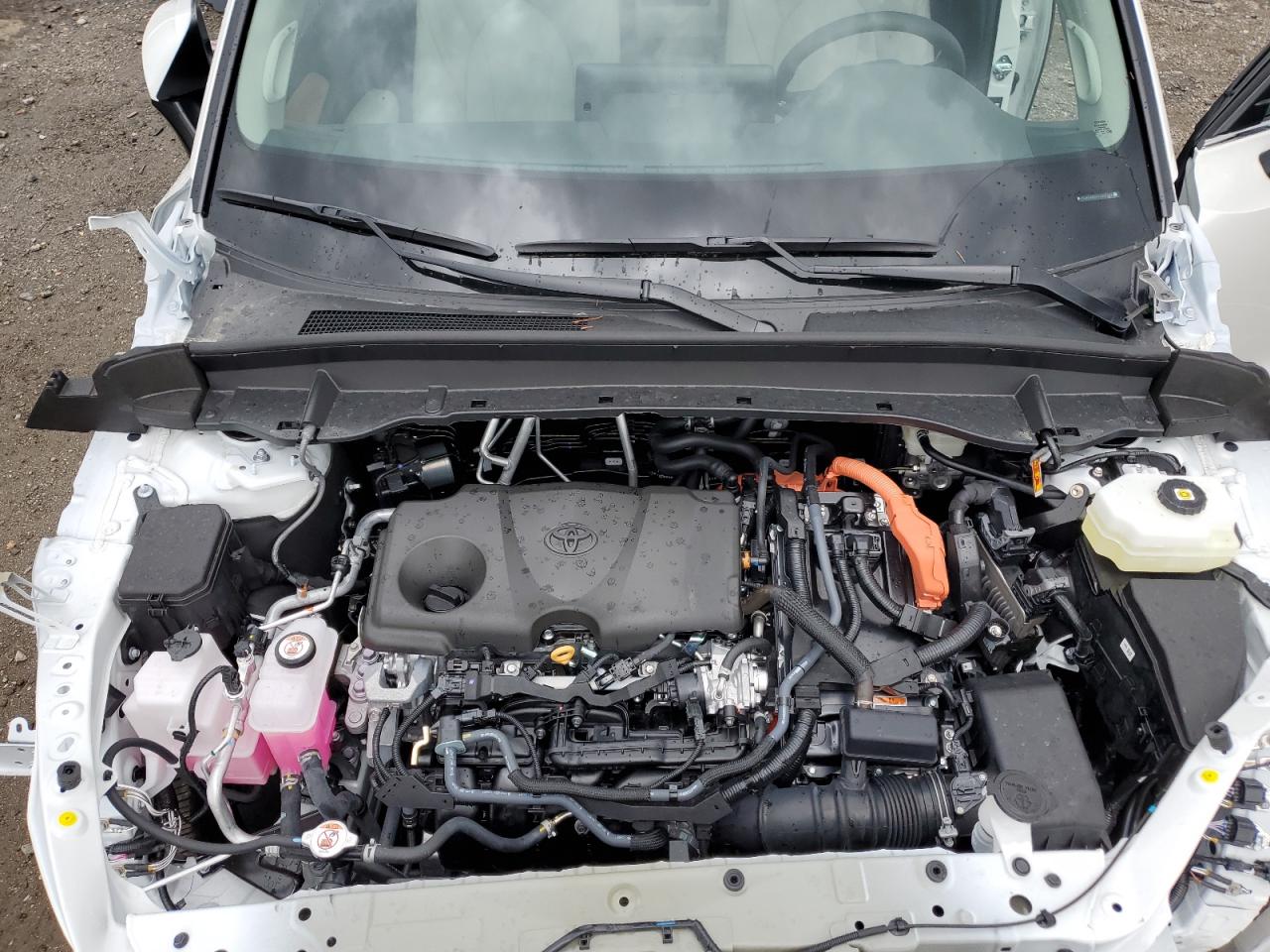 TOYOTA HIGHLANDER LE