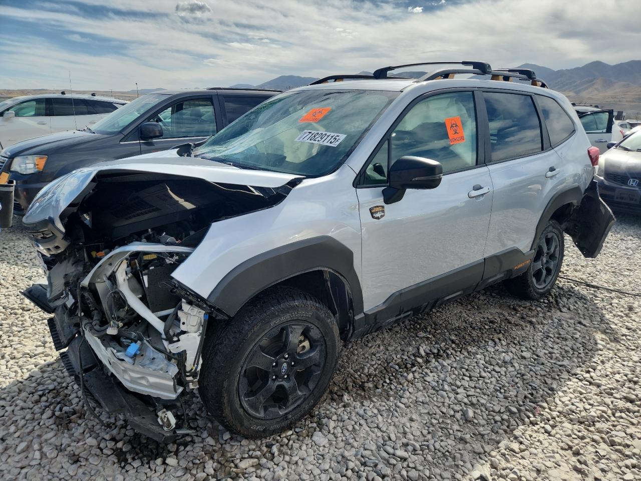 SUBARU FORESTER WILDERNESS