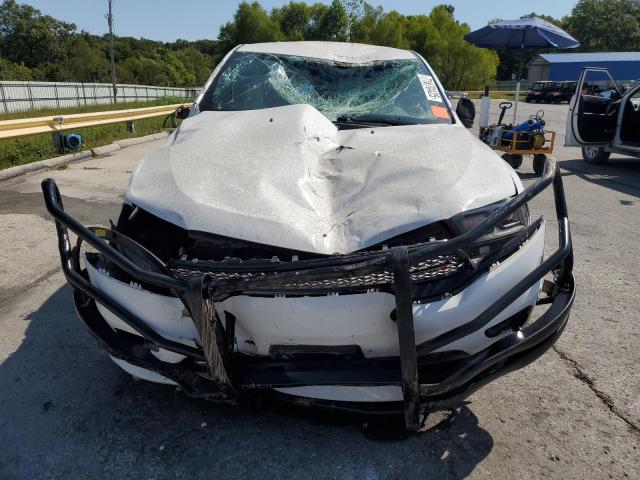 2023 DODGE DURANGO PU 1C4RDJFG5PC618302