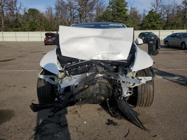 2026 TESLA MODEL Y #3308377291