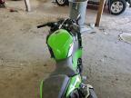 Lot #3296296442 2025 KAWASAKI EX500 H