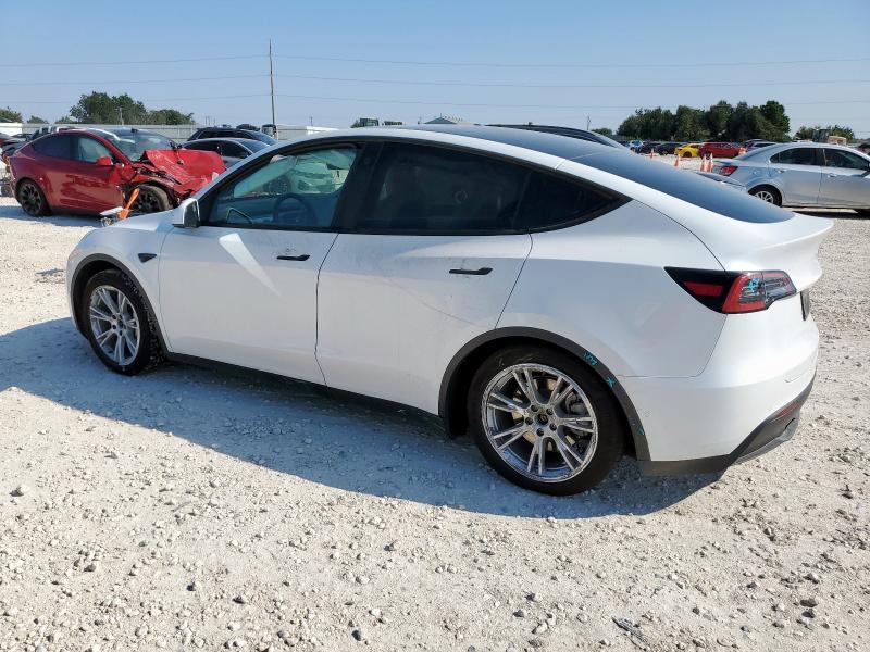 2021 TESLA MODEL Y - 5YJYGDEE3MF145051