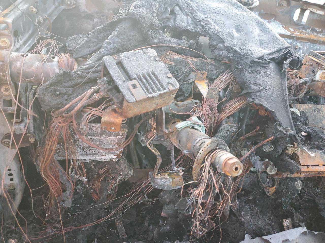 Lot #3309593566 2009 TOYOTA PRIUS