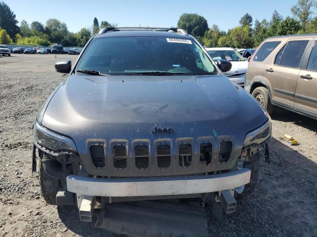 2019 JEEP CHEROKEE L 1C4PJMDN2KD179873