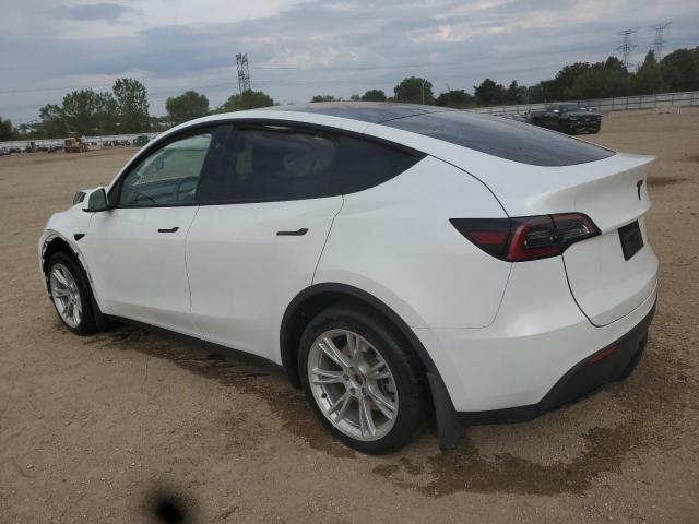 2023 TESLA MODEL Y 7SAYGDEE5PF790775