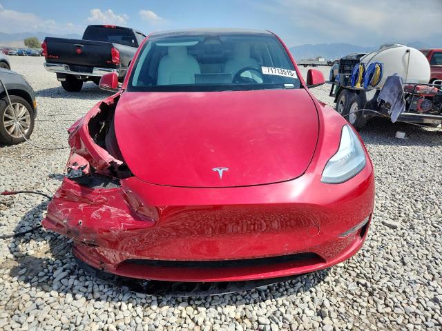 2020 TESLA MODEL Y 5YJYGDEE0LF023195
