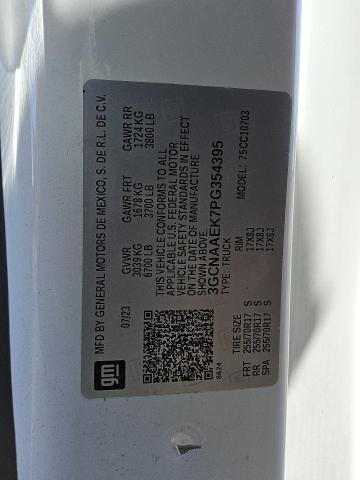 2023 CHEVROLET SILVERADO C1500 3GCNAAEK7PG354395