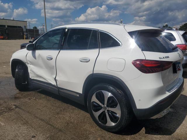 2025 MERCEDES-BENZ GLA 250 W1N4N4GB8SJ645177