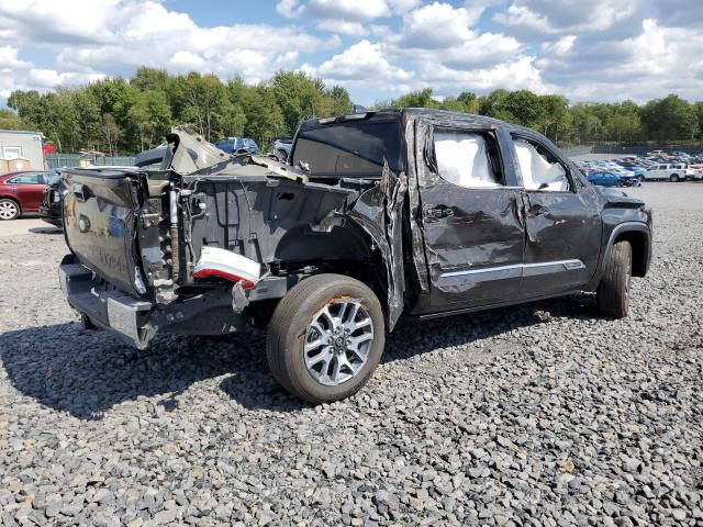 2025 TOYOTA TUNDRA CREWMAX PLATINUM 5TFMA5DB5SX271783