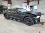 Lot #3316897108 2019 FORD MUSTANG