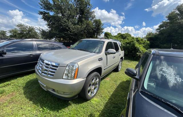 CADILLAC ESCALADE PREMIUM 2010 silver 4dr spor flexible fuel 1GYUCCEF4AR180954 photo #3