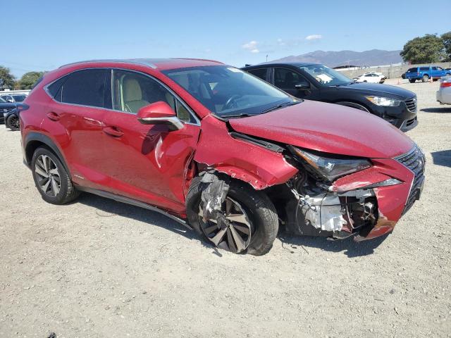 2021 LEXUS NX 300H BA JTJGJRDZ3M2166724
