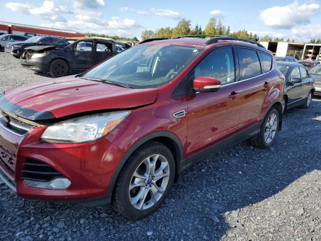 Global Auto Auctions: 2013 FORD ESCAPE SEL