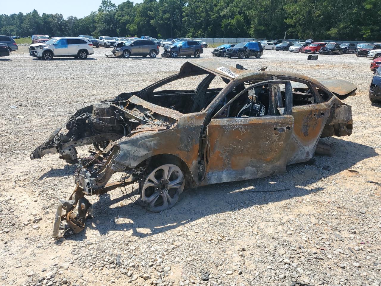 Lot #3290223202 2024 HONDA ACCORD EX