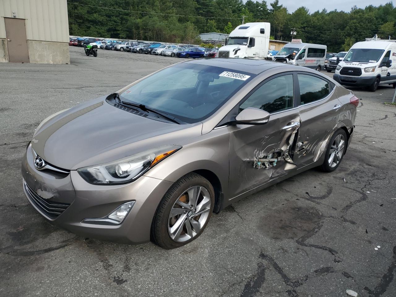 Lot #3259099046 2014 HYUNDAI ELANTRA SE