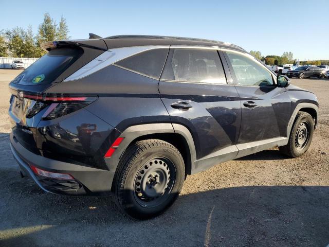 2022 HYUNDAI TUCSON LUX - KM8JCCA10NU056603