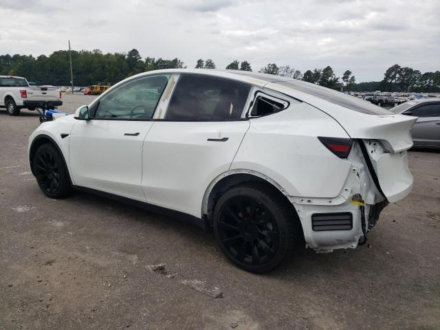 2023 TESLA MODEL Y 7SAYGDEEXPF596176