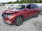 Lot #3294406513 2024 HYUNDAI TUCSON SEL