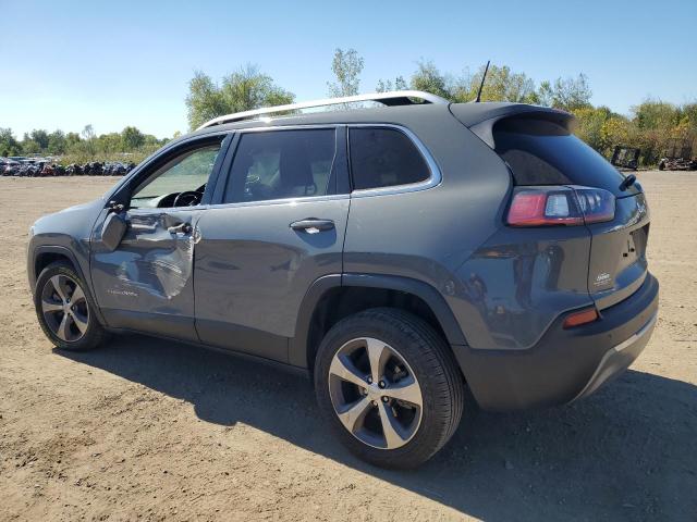 2019 JEEP CHEROKEE L 1C4PJLDB3KD469720
