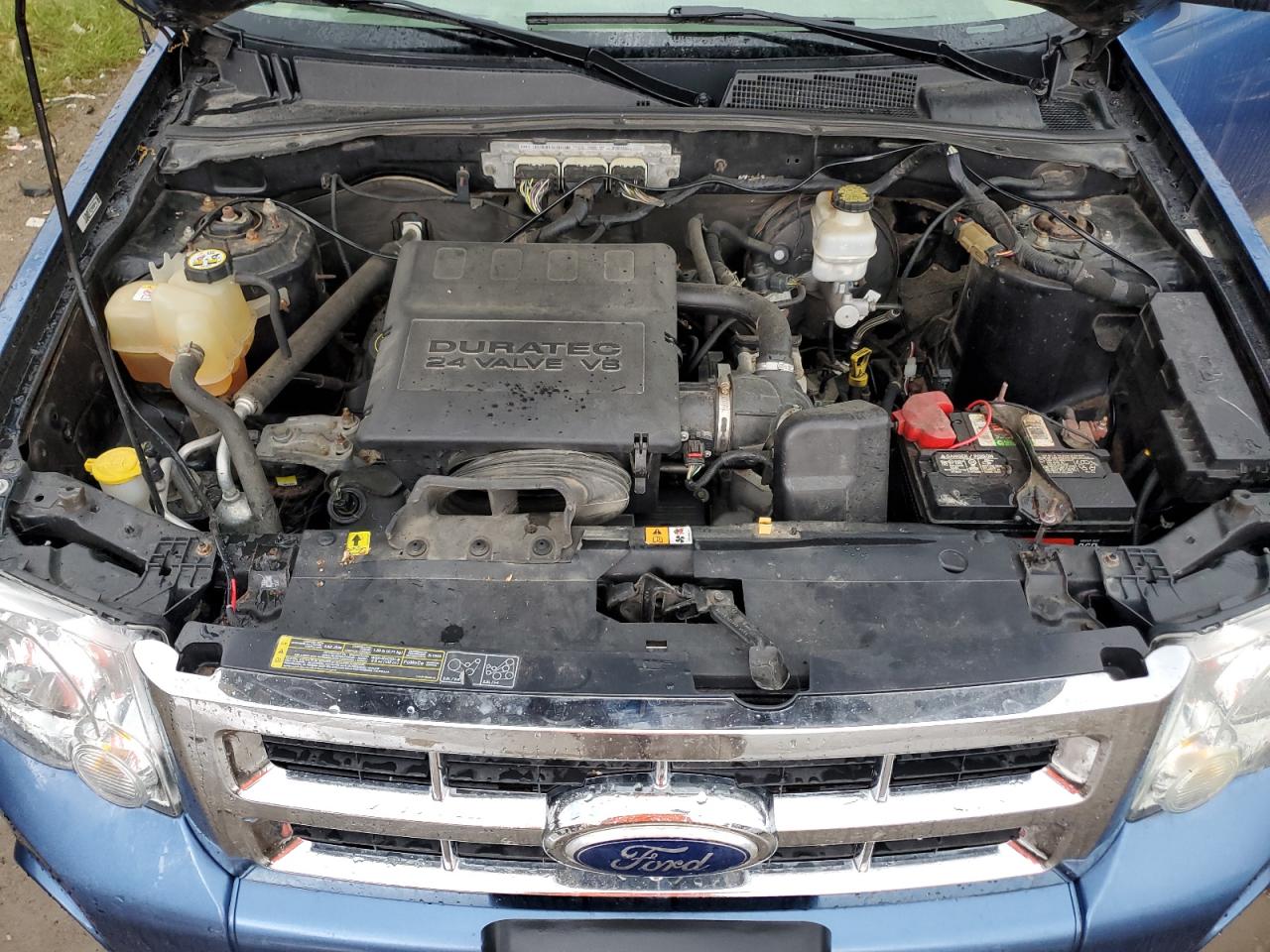 Lot #3283987796 2009 FORD ESCAPE XLT