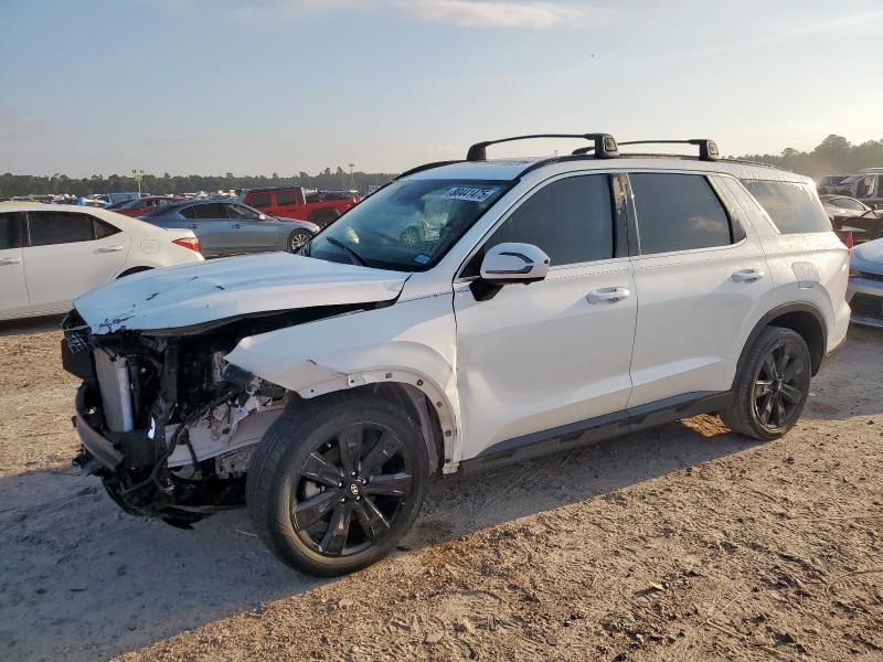 2025 HYUNDAI PALISADE X KM8R34GE5SU901847