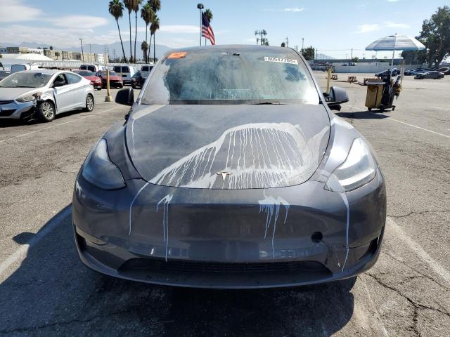 2023 TESLA MODEL Y 7SAYGAEE5PF812336