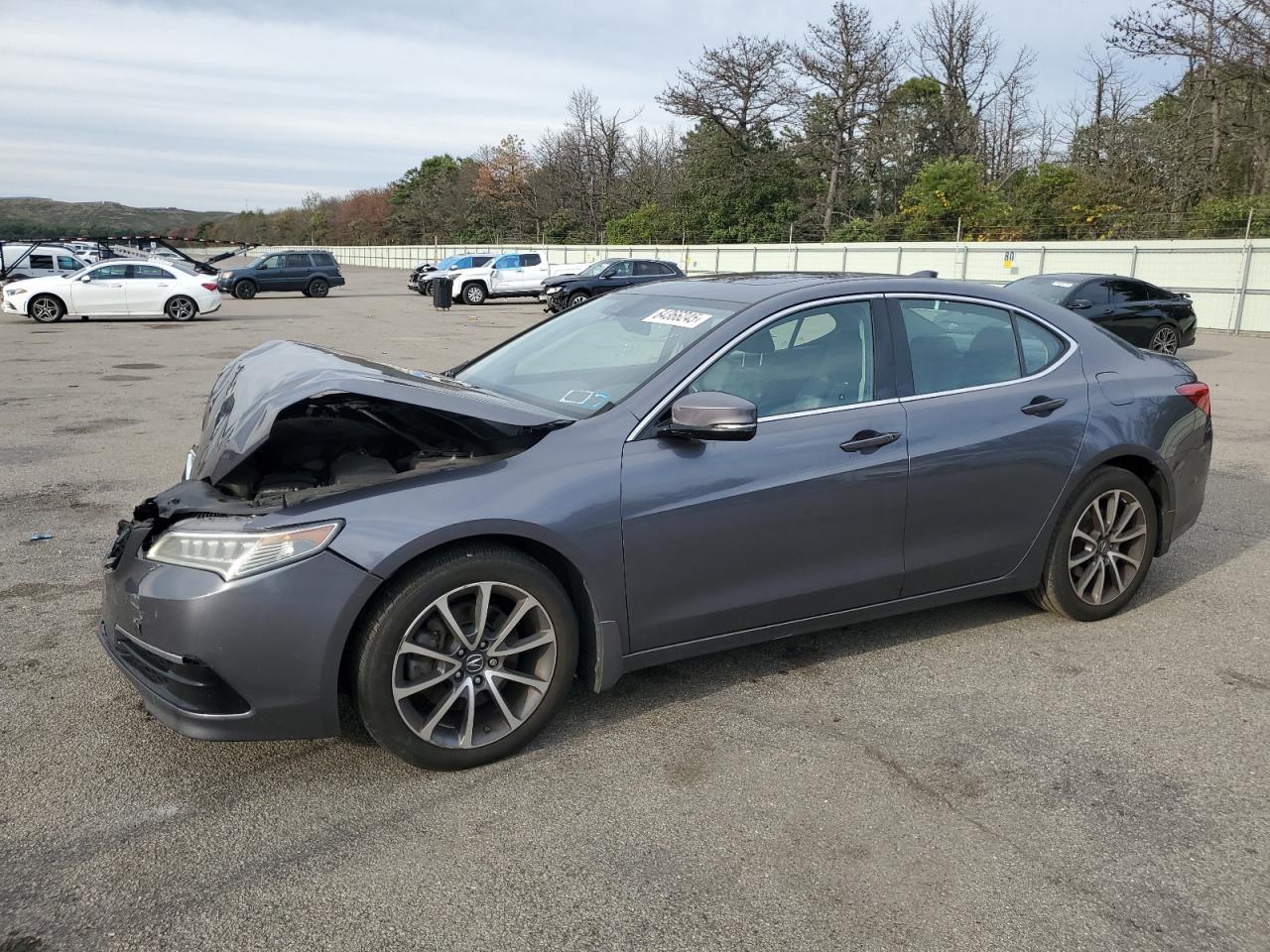 ACURA TLX TECH