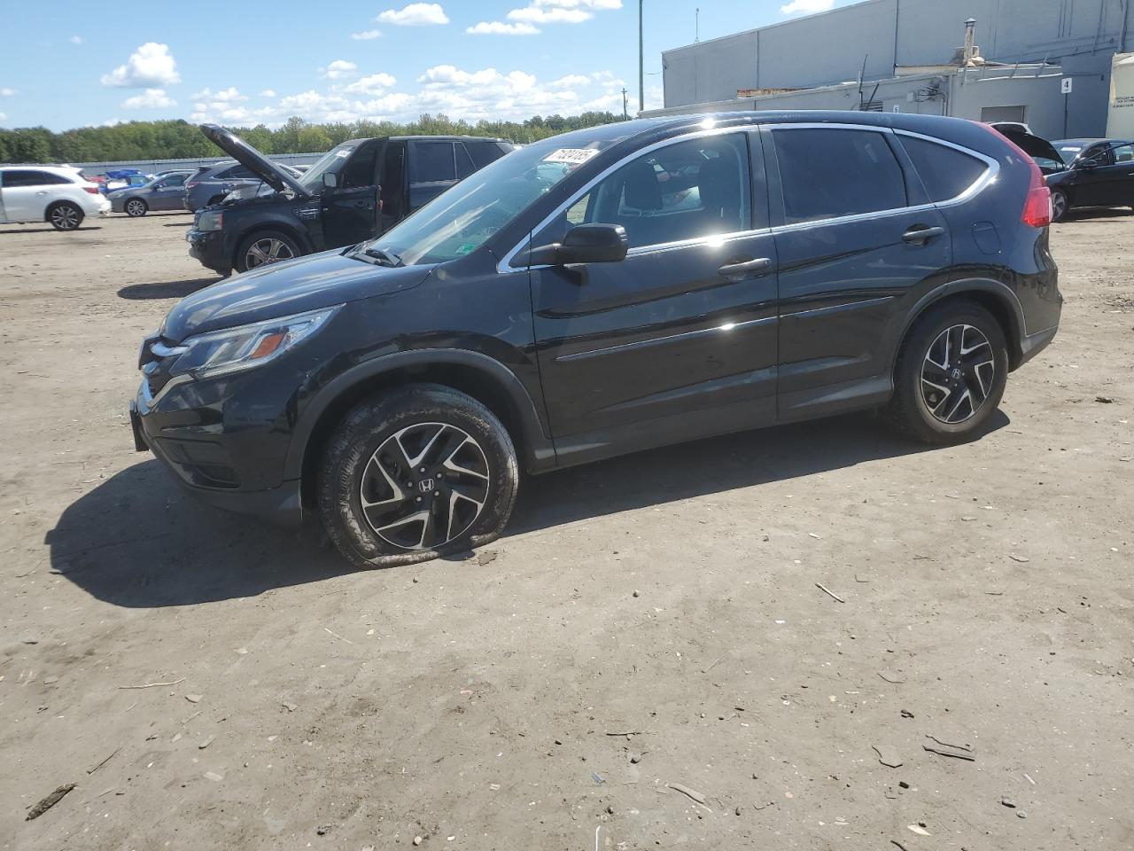 Lot #3297162493 2016 HONDA CR-V SE