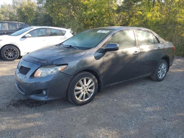 TOYOTA COROLLA BA