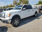 Lot #3297204381 2013 FORD F150 SUPERCREW