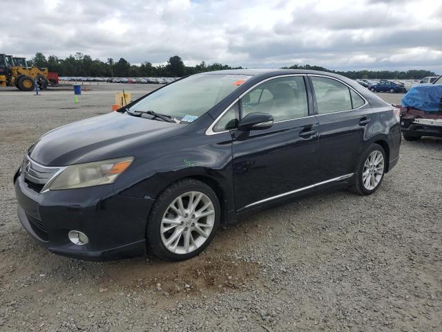 LEXUS HS 250H