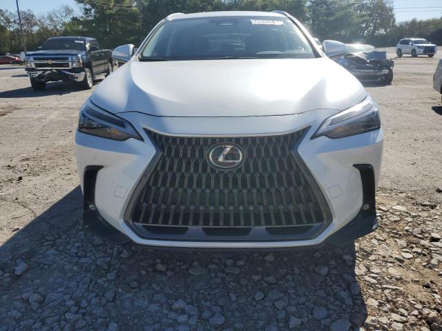 JTJADCEZ7N5000392 | 2022 LEXUS NX 250